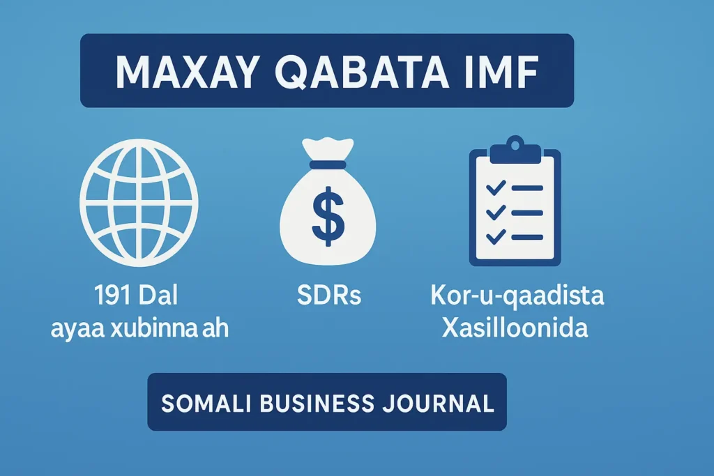waa maxay imf