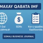 Hay'adda Lacagta Dunida (IMF)