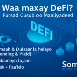 Waa-Maxay-DeFi-Decentralized-Finance