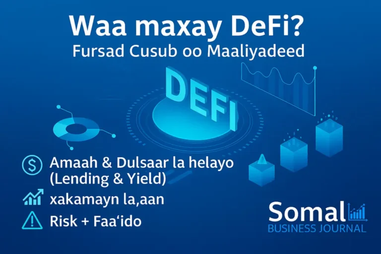 Waa-Maxay-DeFi-Decentralized-Finance