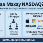 Waa Maxay Nasdaq?