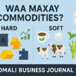 waa maxayCommodities: