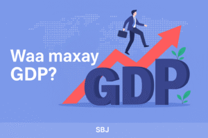 Waa Maxay GDP ? - Somali Business Intelligence Research