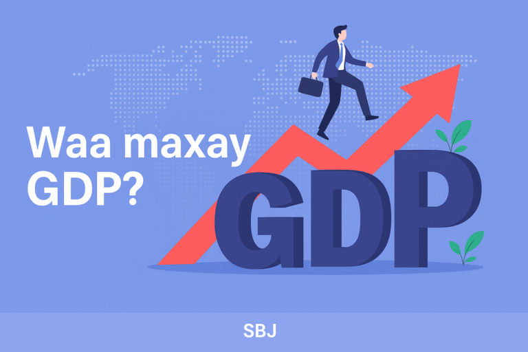 waa maxay gdp