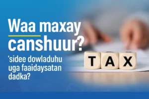 Waa Maxay Canshuur ? Faham Buuxa oo Ku Saabsan Noocyada iyo Muhiimadda Canshuurta - Somali Business Intelligence Research