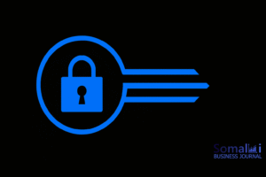 Fahamka Private Key: Sida uu u shaqeeyo iyo Talooyin Amni oo muhiim ah  - Somali Business Intelligence Research